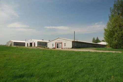 Foto - Halle in Klipphausen 4.000,00 € 1000 m²