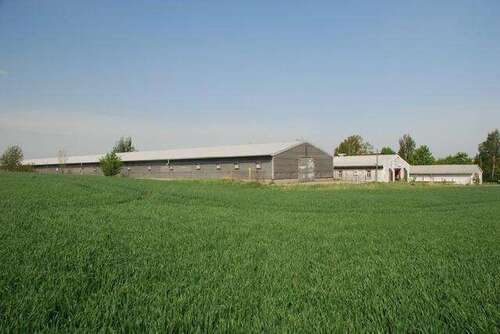Foto - Halle in Klipphausen 4.000,00 € 1000 m²