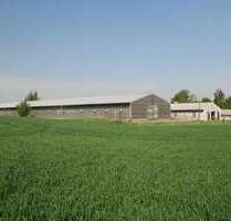 Halle in Klipphausen 4.000,00 € 1000 m²