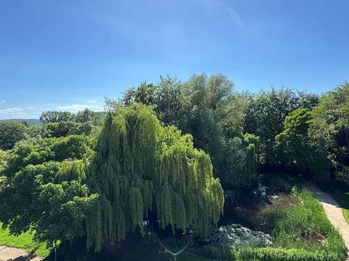 Foto - Wohnung zum Kaufen in Bad Honnef 299.000,00 € 100 m²