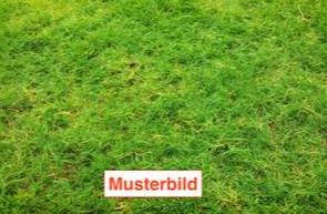 Foto - Grundstück zu verkaufen in München 1.650.000,00 € 680 m²