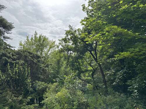 Foto - Grundstück zu verkaufen in Berlin 368.000,00 € 1022 m²