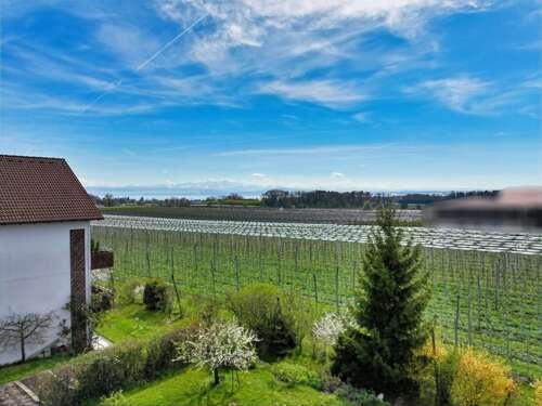 Foto - Grundstück zu verkaufen in Friedrichshafen 1.180.000,00 € 1556 m²