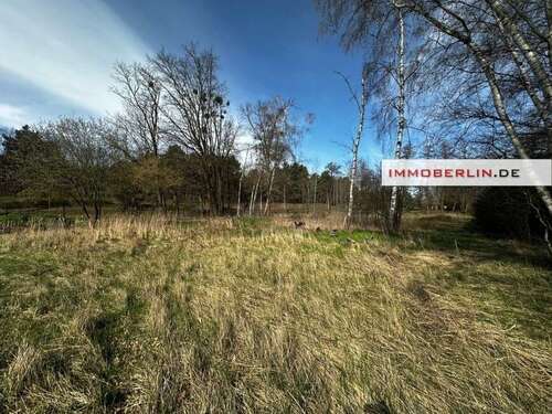 Foto - Grundstück zu verkaufen in Trebbin 99.000,00 € 5800 m²