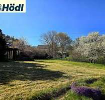 Wohnung zum Mieten in Bitz 950,00 € 146.52 m²