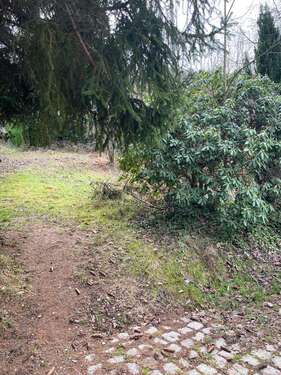 Foto - Grundstück zu verkaufen in Forbach 89.900,00 € 669 m²