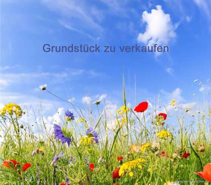 Foto - Grundstück zu verkaufen in Quierschied 39.900,00 € 340 m²