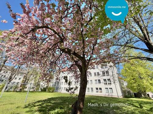 Foto - Wohnung zum Mieten in Chemnitz 310,00 € 52.16 m²