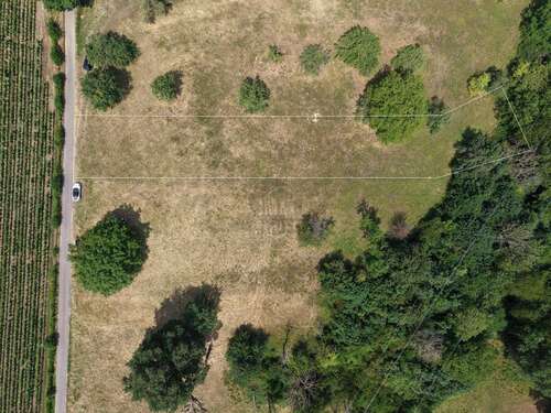 Foto - Grundstück in Baden-Baden Oos 29.900,00 € 901 m²