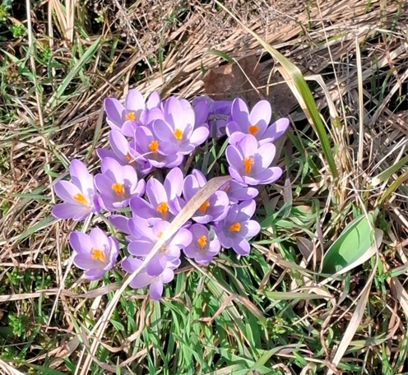 Foto - Grundstück zu verkaufen in Groß Kreutz (Havel) 128.000,00 € 1064 m²