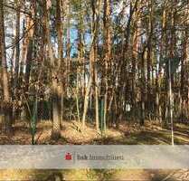 Grundstück zu verkaufen in PetershagenEggersdorf 180.000,00 € 729 m² - Petershagen/Eggersdorf