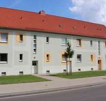 Wohnung zum Mieten in Oschersleben 289,00 € 48.04 m²