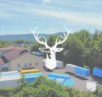 Halle in Lauchringen 1.800.000,00 € 6000 m²