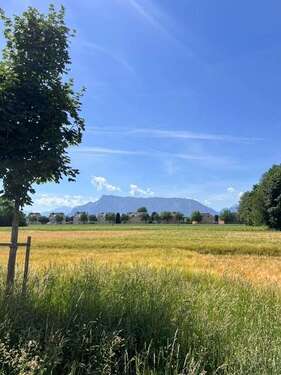 Foto - Wohnung zum Kaufen in Freilassing 320.000,00 € 68.6 m²