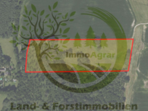 Foto - Grundstück in Kemberg 250,00 € 22640 m²