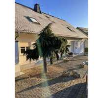 Wohnung zum Mieten in Wincheringen 1.640,00 € 165 m²