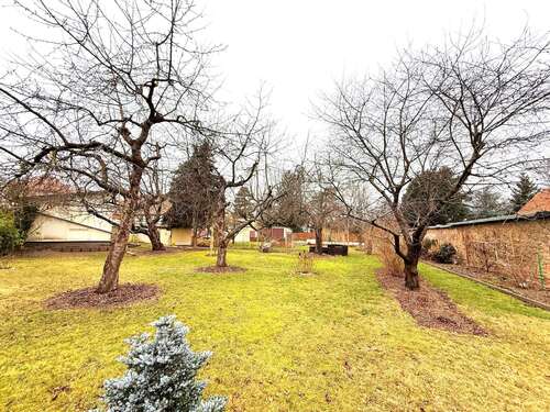 Foto - Haus zum Kaufen in Dresden 950.000,00 € 185 m²