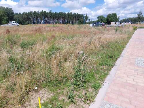 Foto - Grundstück zu verkaufen in Bergen OT Tilzow 116.700,00 € 654 m²