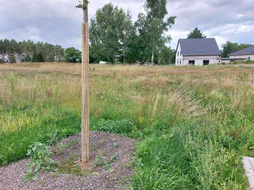 Foto - Grundstück zu verkaufen in Bergen OT Tilzow 132.900,00 € 790 m²