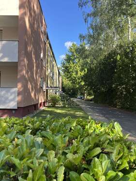 Foto - Wohnung zum Kaufen in Berlin 415.000,00 € 84 m²