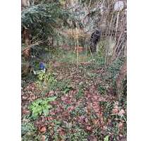 Grundstück zu verkaufen in Frankfurt 50.000,00 € 910 m²