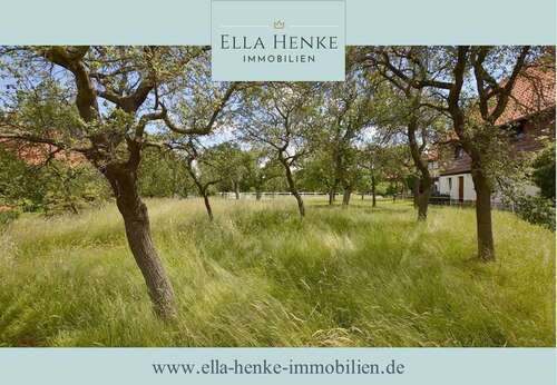 Foto - Grundstück zu verkaufen in Bad Harzburg-Westerode 65.000,00 € 508 m²