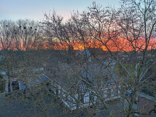 Foto - Wohnung zum Kaufen in Speyer 460.000,00 € 127 m²