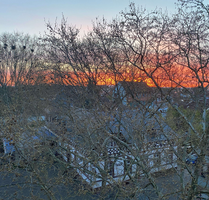 Wohnung zum Kaufen in Speyer 460.000,00 € 127 m²