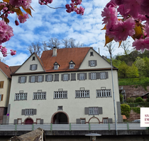 Wohnung zum Kaufen in Calw 595.000,00 € 245 m²