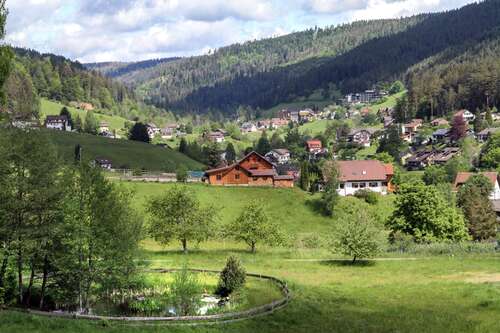 Foto - Wohnung zum Kaufen in Baiersbronn 185.000,00 € 80 m²