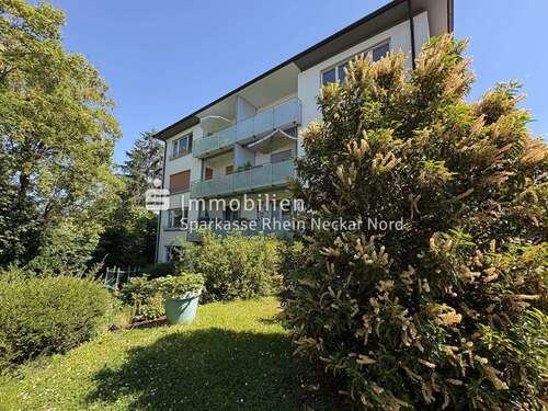 Foto - Wohnung zum Kaufen in Weinheim 185.000,00 € 53.49 m²