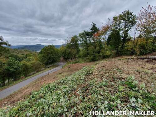 Foto - Grundstück zu verkaufen in Reil 89.000,00 € 884 m²