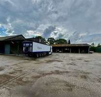 Halle in Soltau 360,00 € 240 m²