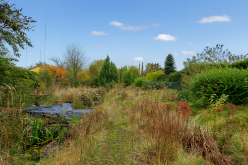 Foto - Grundstück zu verkaufen in Münster (Altheim) 320.000,00 € 700 m²