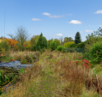 Grundstück zu verkaufen in Münster (Altheim) 320.000,00 € 700 m²