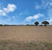 Grundstück in Neustadt 524.000,00 € 41758 m²