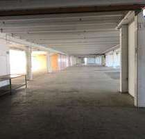 Halle in Lübbecke 9.395,00 € 3758 m²