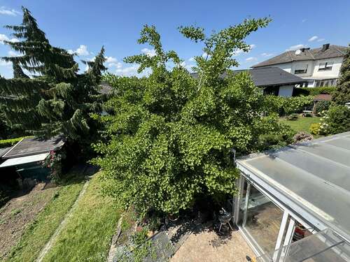 Foto - Haus zum Kaufen in Hochheim 699.000,00 € 214 m²