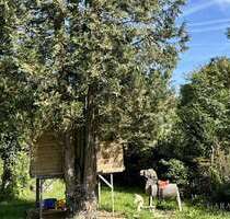 Haus zum Kaufen in Vaihingen an der Enz 423.000,00 € 106 m²