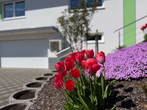 Foto - Haus zum Kaufen in Bad Saulgau 564.000,00 € 135.88 m²