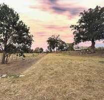 Grundstück in Neustadt 47.000,00 € 7101 m²