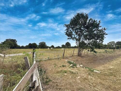 Foto - Grundstück in Neustadt 69.000,00 € 10558 m²