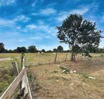 Grundstück in Neustadt 69.000,00 € 10558 m²