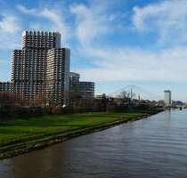 Wohnung zum Mieten in Mannheim 550,00 € 37 m²