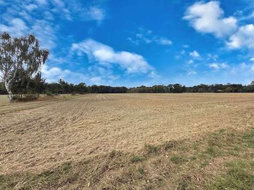 Foto - Grundstück in Neustadt 457.000,00 € 36454 m²