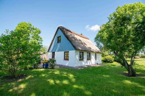 Foto - Haus zum Kaufen in Brokdorf 450.000,00 € 31.4 m²