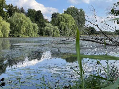 Foto - Grundstück zu verkaufen in Hohnstorf 50.000,00 € 90000 m²