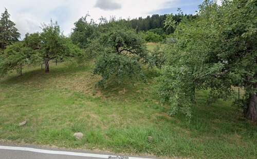 Foto - Grundstück zu verkaufen in Neubulach 49.000,00 € 522 m²