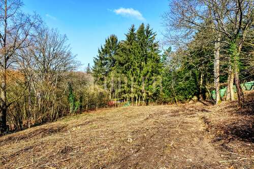 Foto - Grundstück zu verkaufen in Forchheim 750.000,00 € 1581 m²