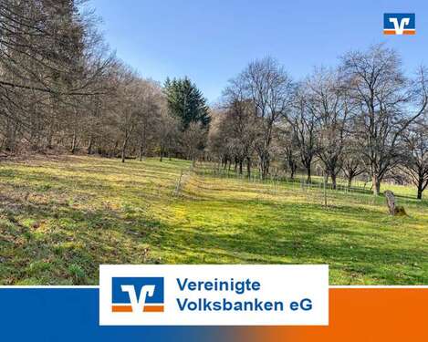 Foto - Grundstück in Gärtringen 13.800,00 € 1921 m²